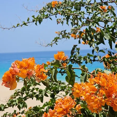 Estrella De Mar דירה טרחלחו