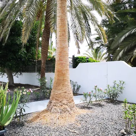 Lägenhet Estrella De Mar Tarajalejo