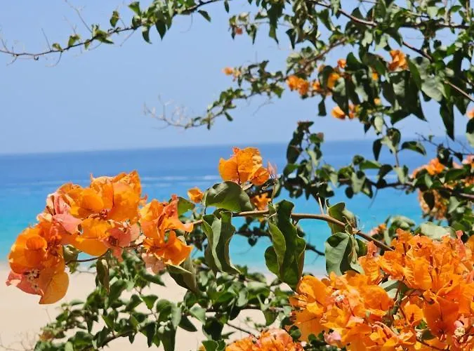 Estrella De Mar Appartement Tarajalejo