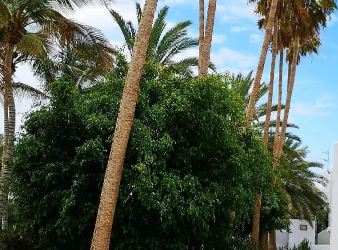 Apartmán Estrella De Mar Tarajalejo